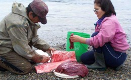 Whale skin and meet is a favourite food of Eskimo