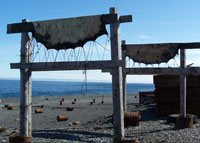 Uelen community. Seal skin stretched for drying