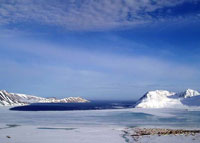 Tkachen Bay, New Chaplino community