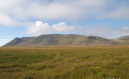Beringia tundra