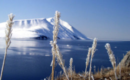 Grass. Water. Snow.