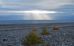 Beringia marine landscape