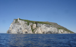 Nuniangan island. Bird rookery