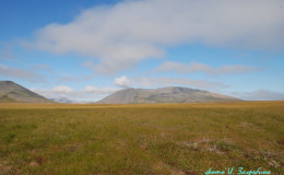 The spaces og Beringia tundra