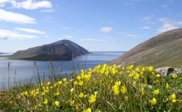 Summer landscape of Provideniya bay