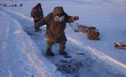 Yanrakynnot community. Kutylin Leonid fishes