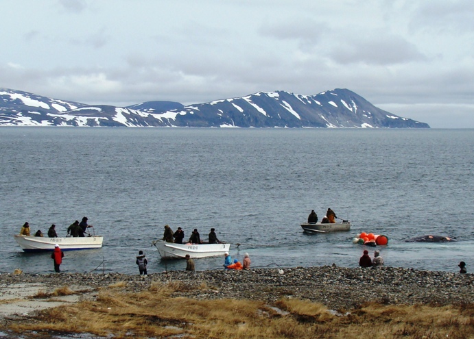People from Novoe Chaplino meet the first whale. June 11, 2011. Photo by N. Kalyuzhina