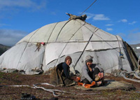 Yaranga of reindeer herders