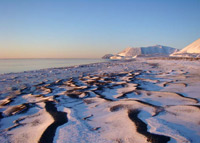 Coast in January